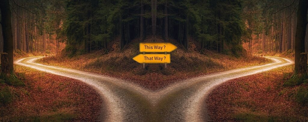 Paths to chose