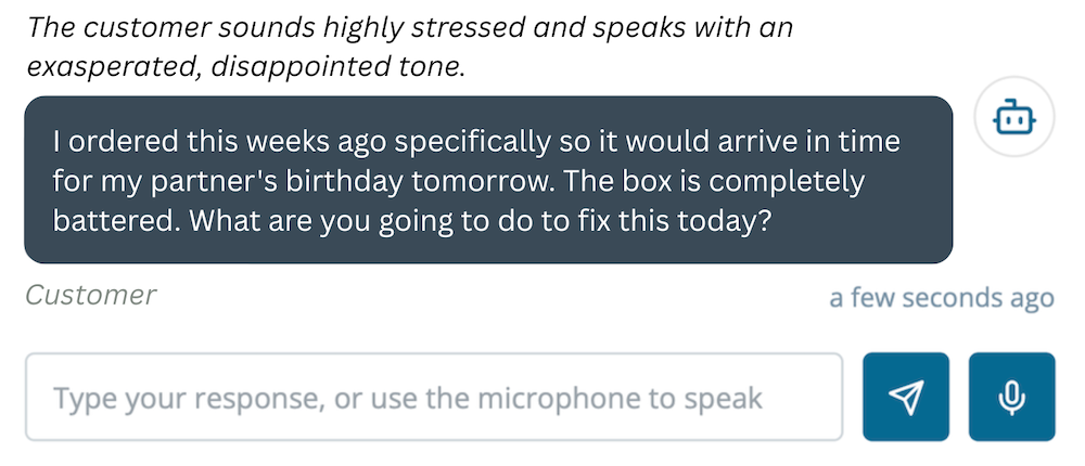 AI Conversation Practice -- Customer Service Example
